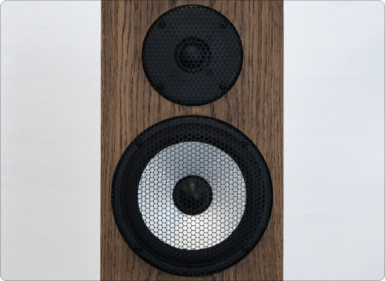 Pylon Audio Ruby Monitor Chocolat - cecha 1